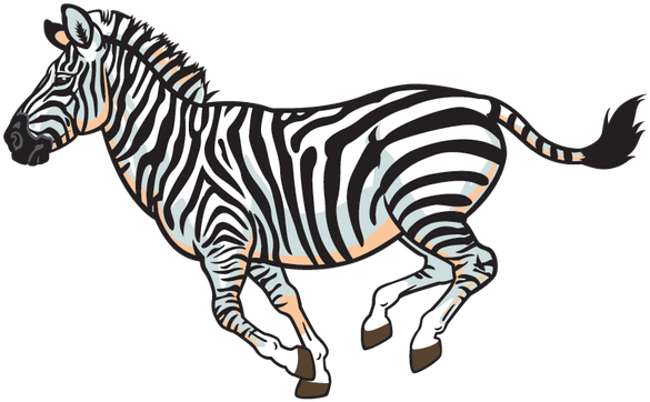 Wildlife Clipart African Wildlife - Dessin D Un Zebre (616x399)