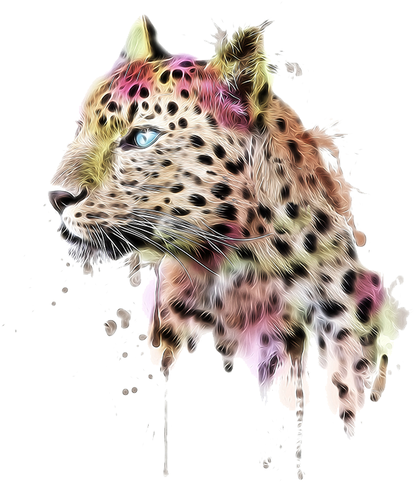 Leopard T Shirt Clothing Dress Cheetah - Leopard (1000x768)