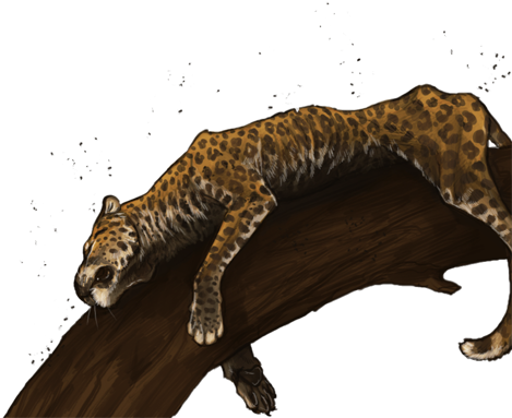 Deadleopardday - Jaguar (640x385)