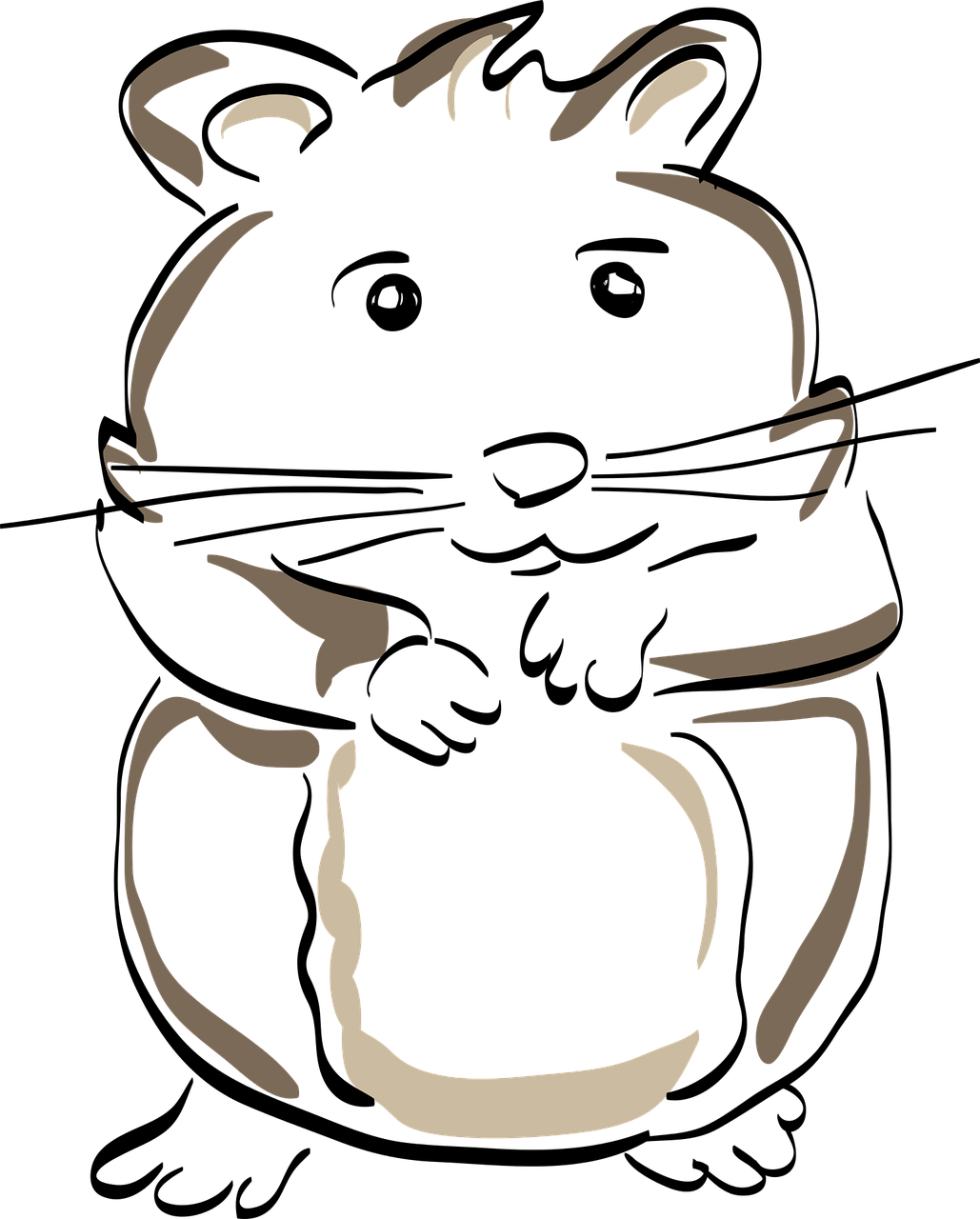 Drawn Hamster Clip Art - Hamster (1029x1280)