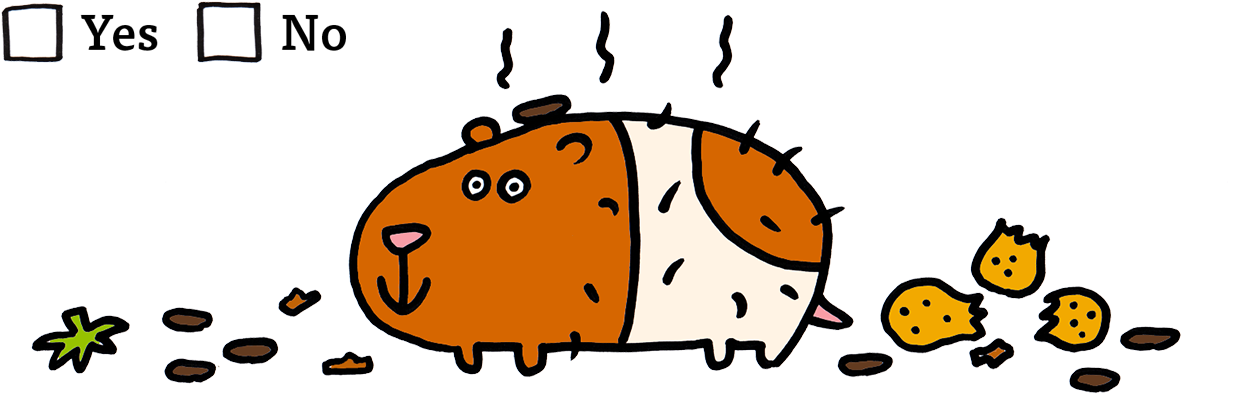 2) Are You Ready To Clean Out Your Hamster's Cage Every - Libro Criceto (1319x529)