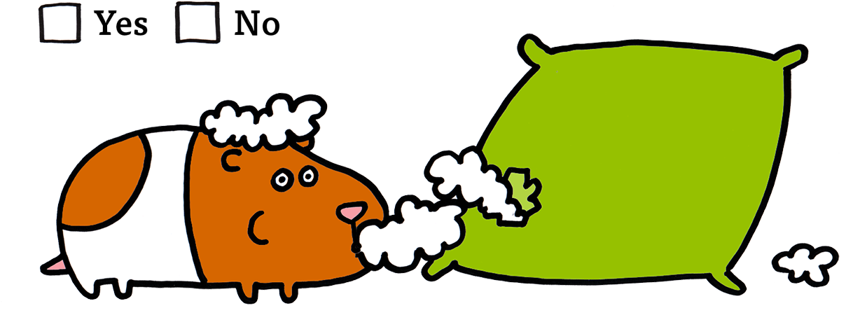 3) Would It Be Ok If Your Hamster Gobbled Up The Soft - 3) Would It Be Ok If Your Hamster Gobbled Up The Soft (1319x529)