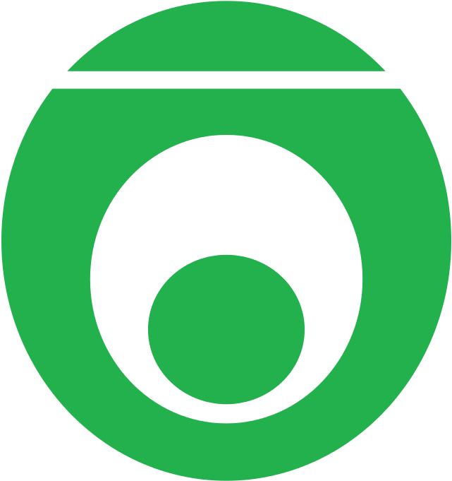 Logo Brand Font - New York Times App Icon (768x768)