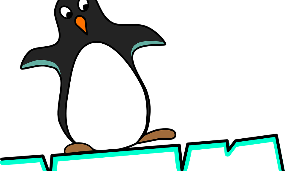 Google Rolls Out Penguin - Razorbills (960x576)