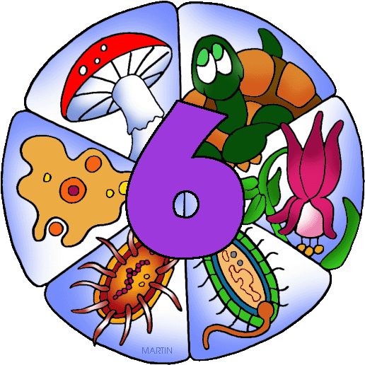 Six Kingdoms - Six Kingdoms Of Life (556x542)