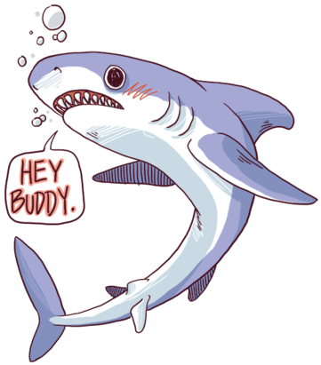 Tumblr N1zlzfnerc1r4khp7o4 500 - Transparent Shark (500x500)