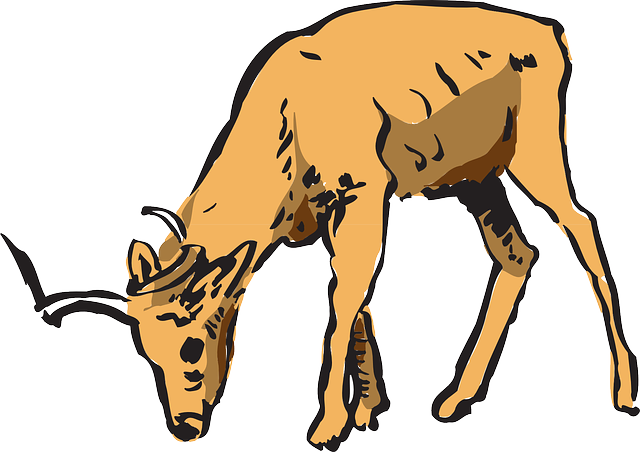 White Tailed Deer Clipart Hiran - Deer Eating Clipart (640x452)