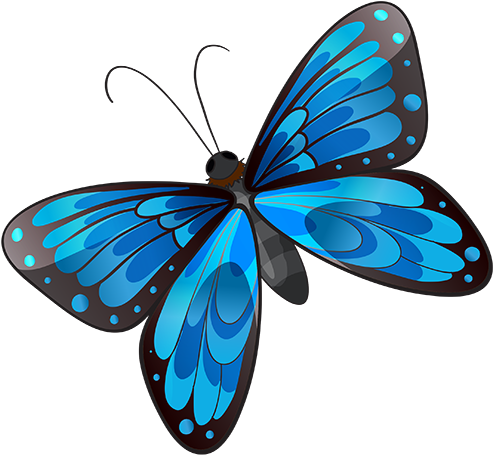 Blog De L'ile De Kahlan - Brush-footed Butterfly (500x457)