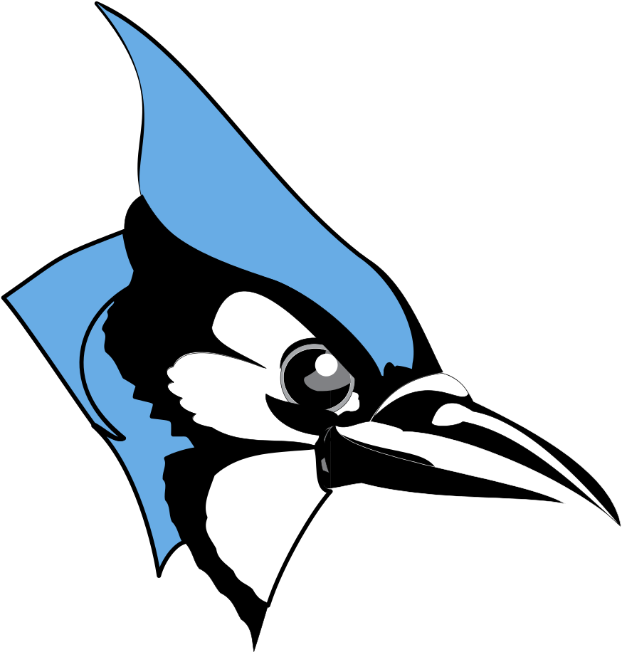 Common Majors - Johns Hopkins Blue Jay (933x1024)