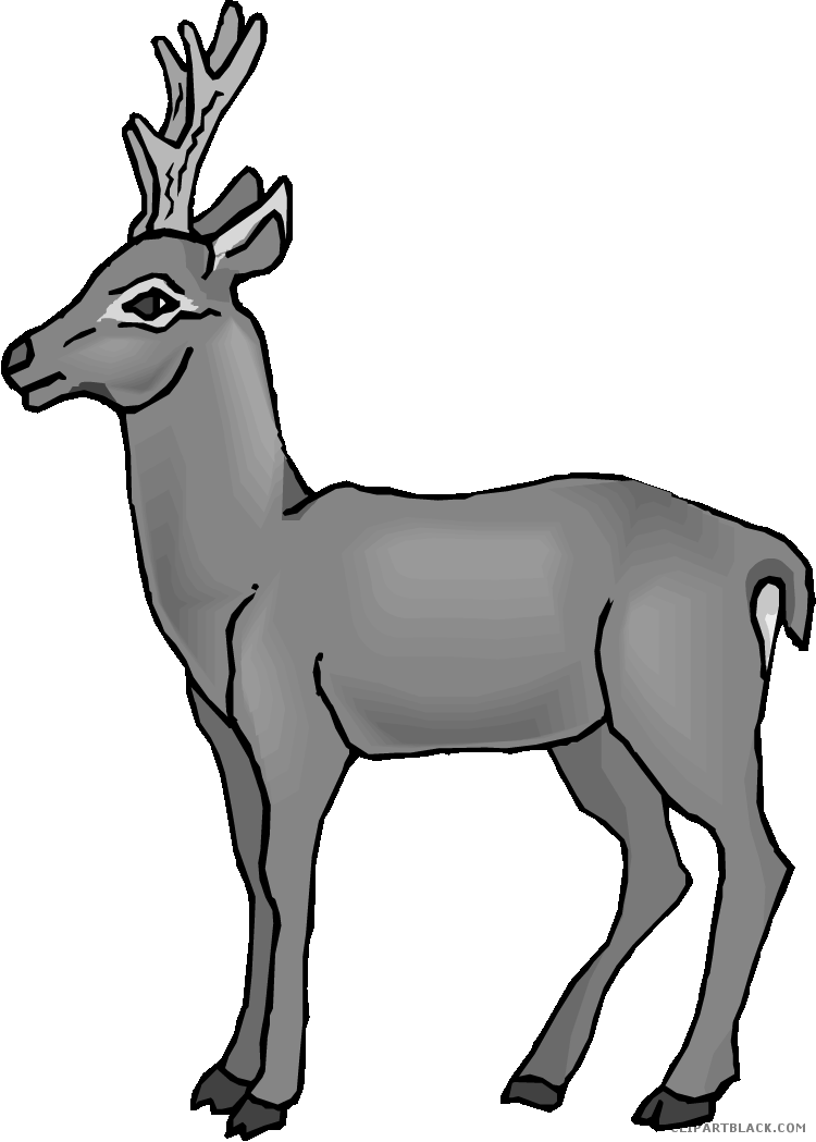 Cute Deer Animal Free Black White Clipart Images Clipartblack - Elk (750x1049)