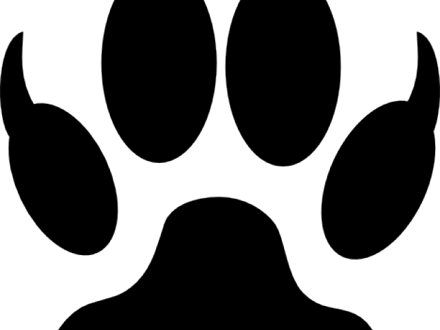 Paw Clipart Kitty Paw - Empreinte D Ours (640x480)