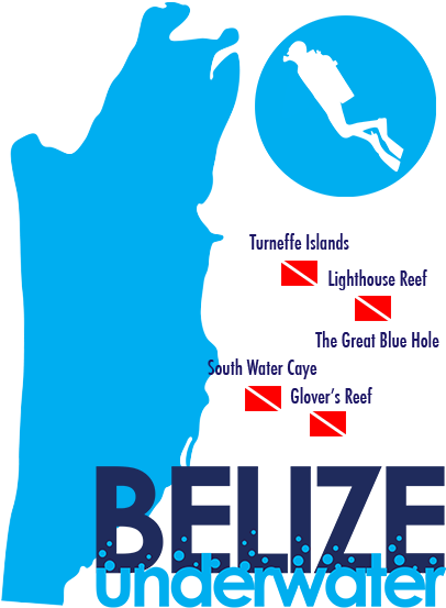 During The Kids Sea Camp Week, Ksc Will Be Adding Our - Boston University (432x600)