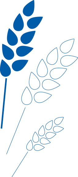 Our History - Our History (254x574)