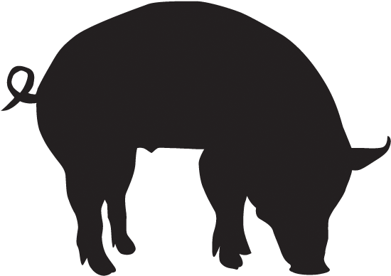 Twitter - Pig Silhouette Png (600x600)