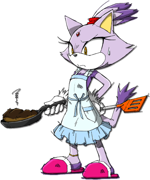 Notes - Blaze The Cat Sonic Rush (500x612)