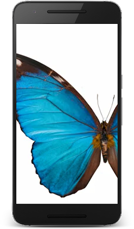 Butterfly 3d Live Wallpaper - Smartphone (287x512)