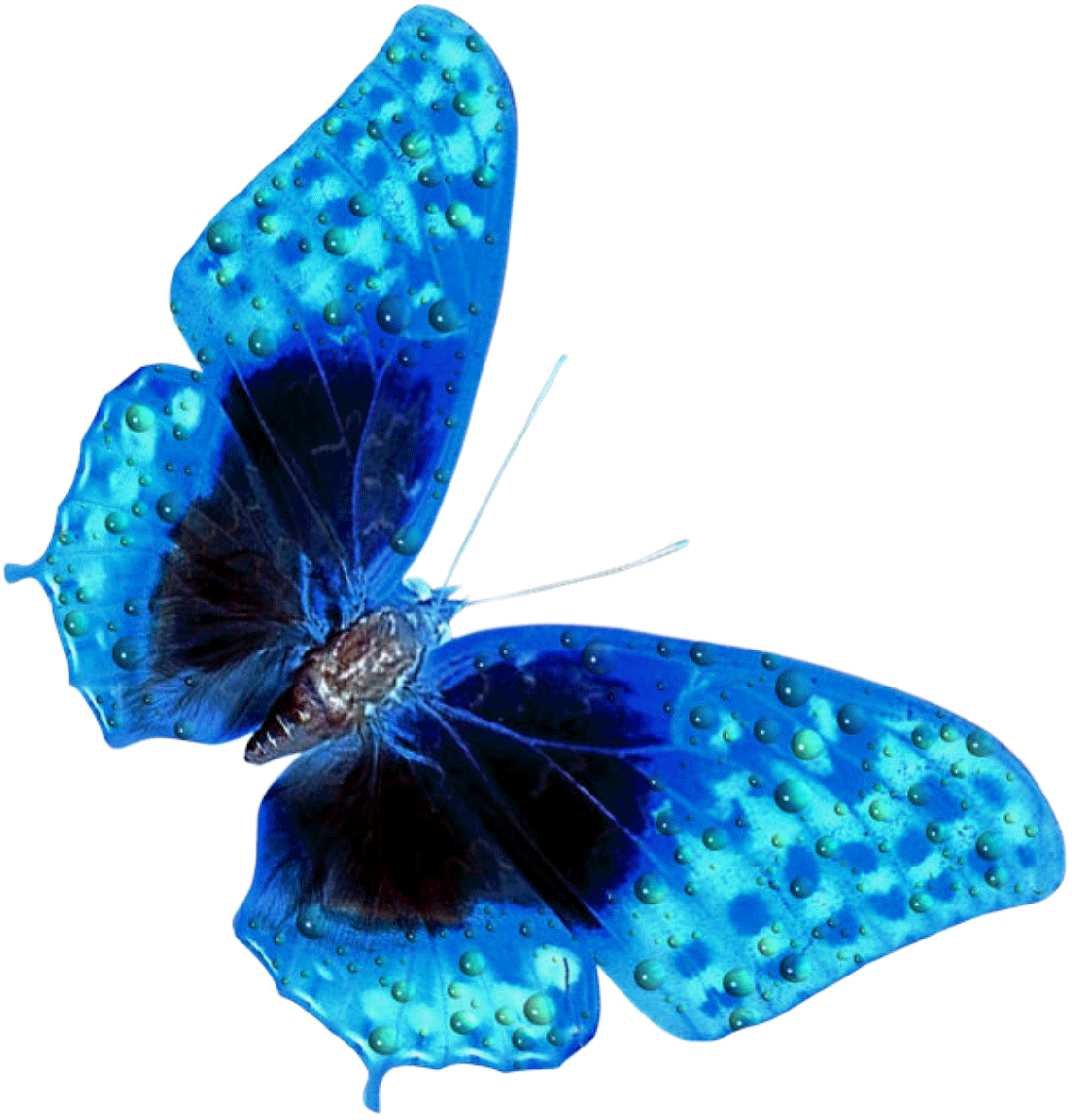 Wallpaper Collection For Your Computer And Mobile Phones - Getting A New Identity (1137x1187)