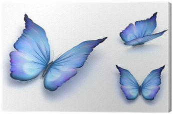 Blue Butterfly Isolated On White - Recovery And Renewal: Your Essential Guide To Overcoming (400x400)