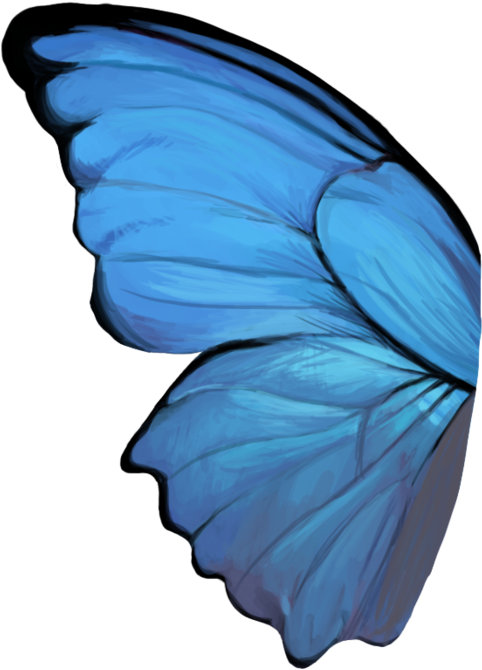 Butterfly Wing - Butterfly Wing Png (894x894)