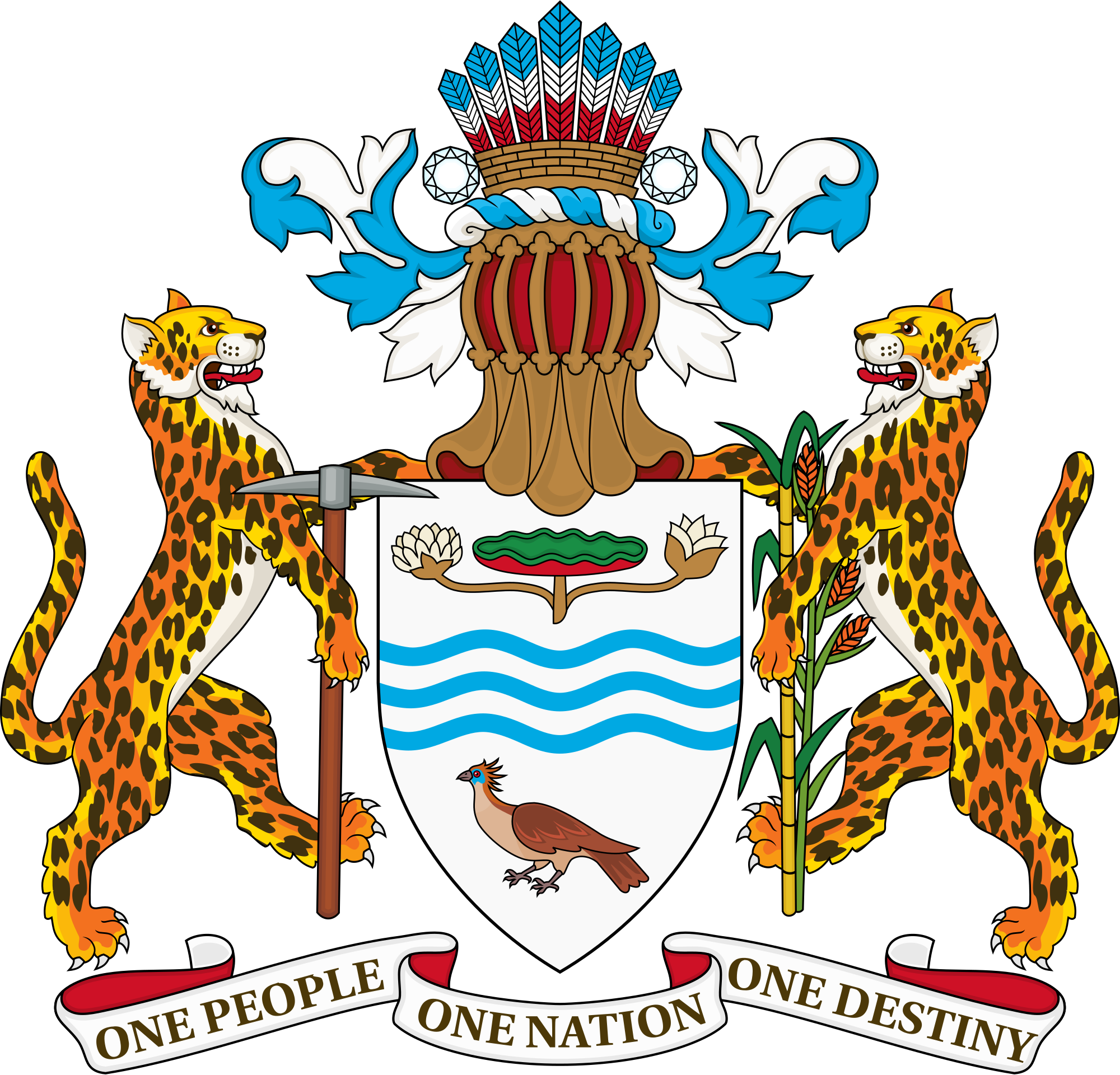 Open - Guyana Ministry Of Health (2000x1920)