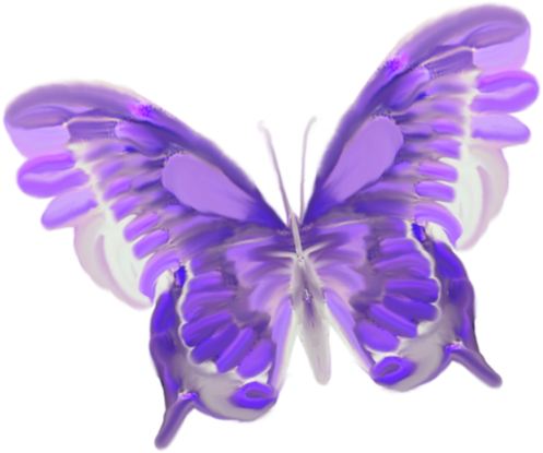 Free Butterfly Transparent Background - Dunyanin En Harika Kelebek Görseller (600x514)