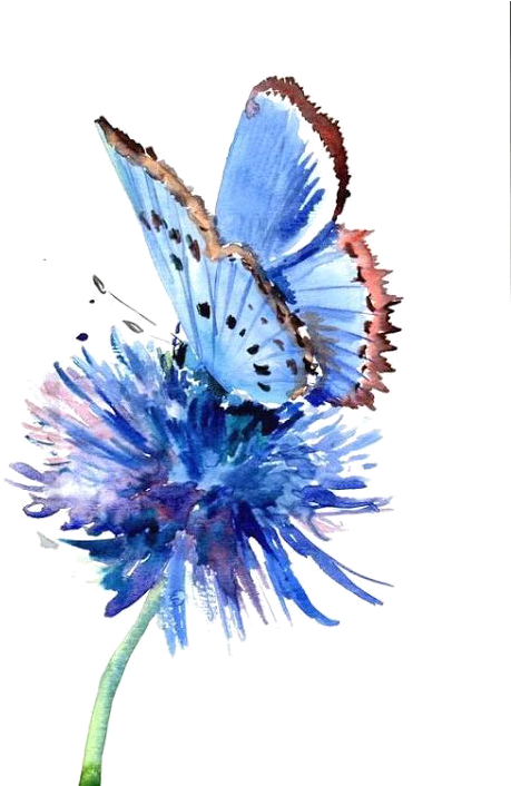 Butterfly Painting Blue Flower Drawing - Blue Butterfly On Flower (530x705)