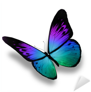 Blue Butterfly Flying, Isolated On White Background - Angels Beside You: True Stories Of The Lord's Tender (400x400)