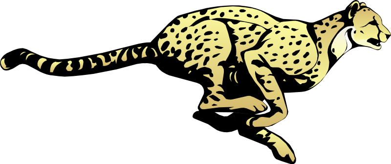 Cheeta Free Vector - Cheetah Transparent (800x335)