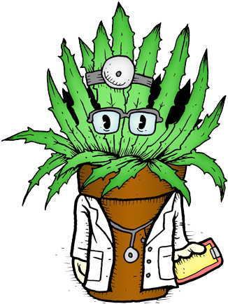 Why Do Offices, Houses, And Other Indoor Spaces Bring - Why Do Offices, Houses, And Other Indoor Spaces Bring (350x445)