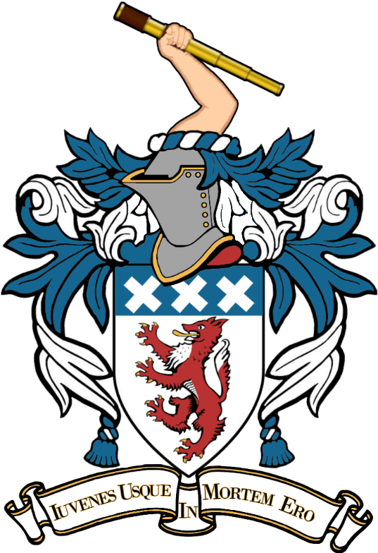 Personal Coat Of Arms, Final Version - Coat Of Arms Template (550x800)