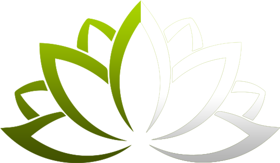 About Us - Lotus Flower Buddhist Symbol (600x370)