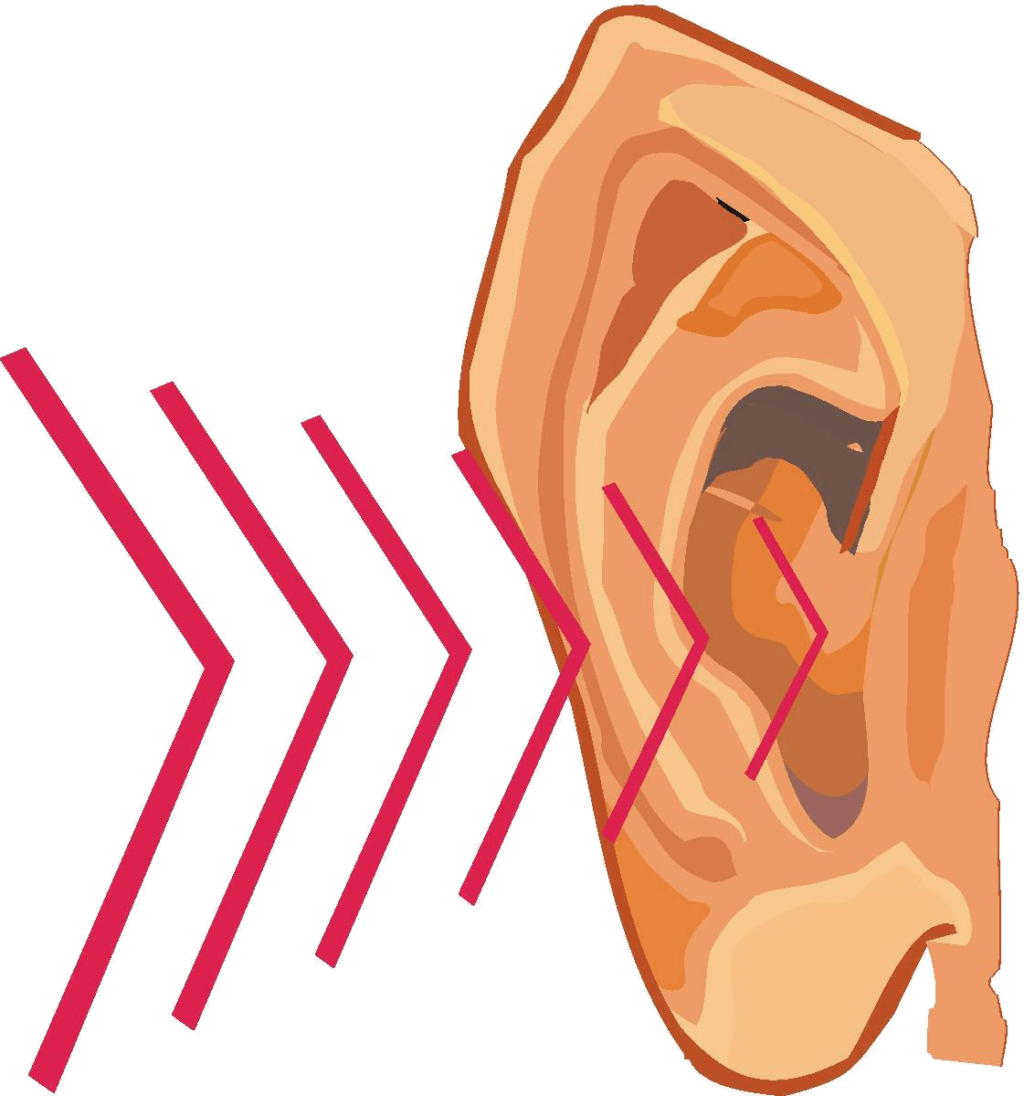 Ear Sound Waves Clipart - Sound Vibration Clipart (1121x1200)