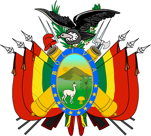 Symbol, Symbols, Coat, Arms, Bolivia, Escudo - Brasão Da Bandeira Da Bolivia (640x578)