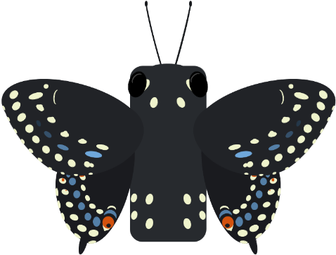 Black Swallowtail Butterfly - Book An Appointment (500x500)