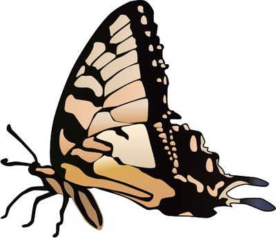 Swallowtail Butterfly Svg - Swallowtail Butterfly Svg (400x345)