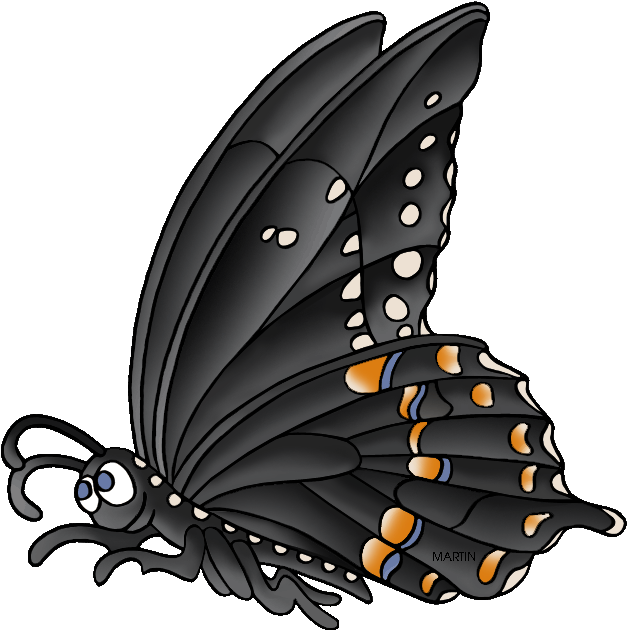 State Butterfly Of Mississippi - Spicebush Swallowtail (639x648)