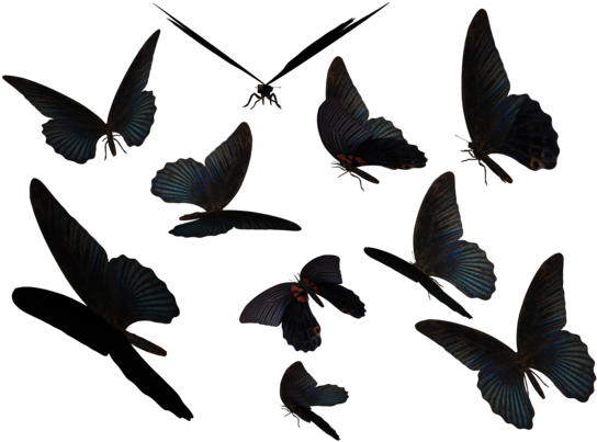 Blue Swallow Tail Butterflies By Madetobeunique - Butterfly (600x420)
