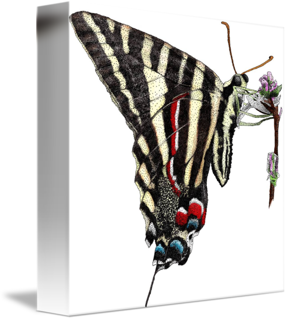 Zebra Swallowtail Butterfly Journal (582x650)