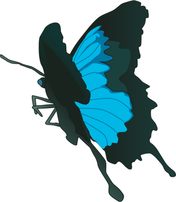Swallowtail Butterfly Svg - Papilio Ulysses Butterfly (348x400)