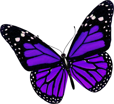 Beautiful Butterflies Cute Digital Clipart, Butterfly - Purple Butterfly Png (400x363)