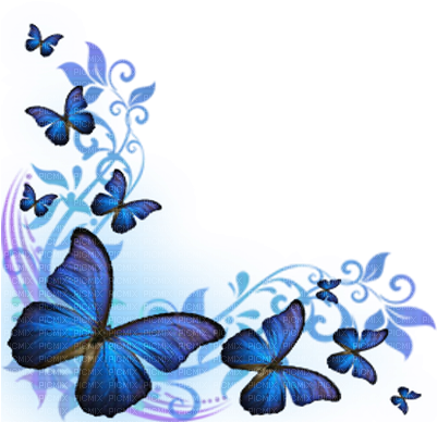 Cool Pictures Of Beautiful Butterflies Blue Butterflies - Butterfly Background (400x400)