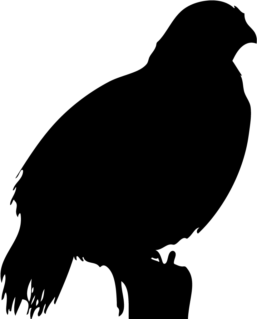 California Outline Clip Art - Birds (1024x1024)