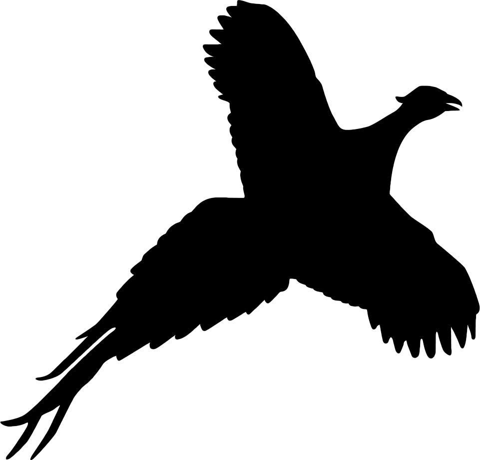 Pheasant And Partridge Shooting Scotland Fenton Brunt - Silhouette Of A Pheasant (961x920)