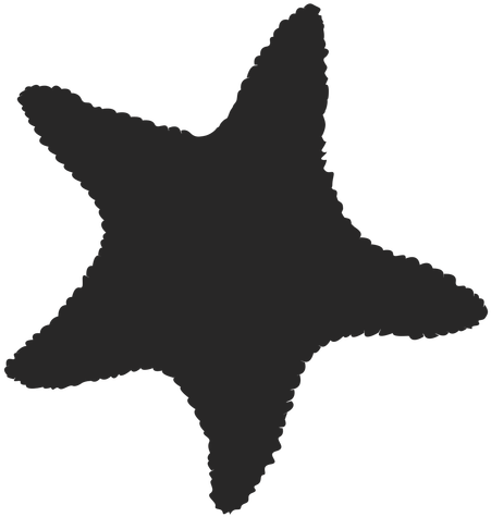Starfish Silhouette 1 Transparent Cliparts - Siluetas De Animales Del Marinos (512x512)