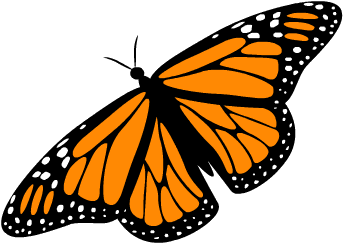 10 Free Adorable Animated Butterflies Colorful Butterfly - ผีเสื้อ Gif - (400x400) Png Clipart Download 10 Free Adorable Animated Butterflies Colorful Butterfly - ผีเสื้อ Gif - (400x400) Png Clipart Download