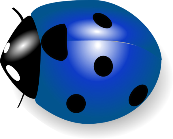 Cute Bug Clipart - Coccinelle Clipart (600x481)