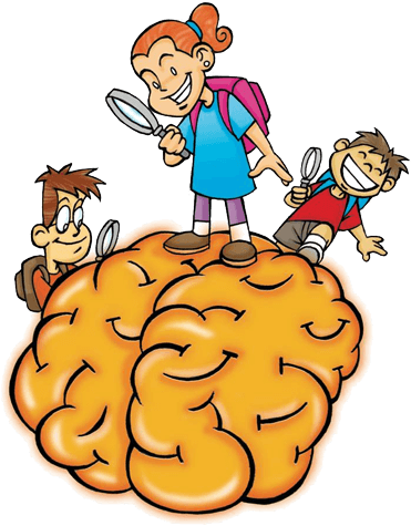 The Acad Contest Is A First Of Its Kind Opportunity - Brain Clipart (408x500)