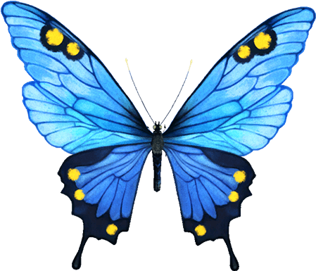 Official Infinity Blade Website - Blue Butterflies (1024x622)