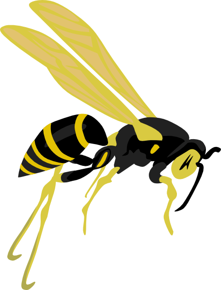 Wasp Clipart (456x598)