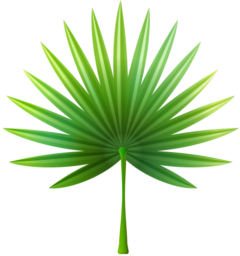 Exotic Leaf Png Clip Art Clip Art Pinterest Clip Art, - Exotic Leaves Png (469x500)